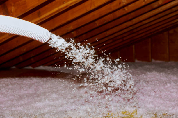 Best Cellulose Insulation in Palm Valley, FL