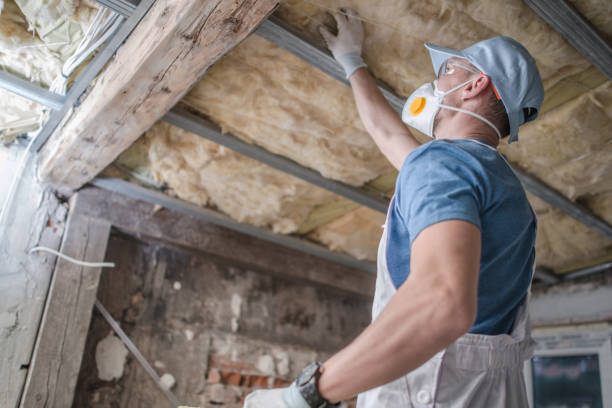 Best Blown-in Insulation in Palm Valley, FL
