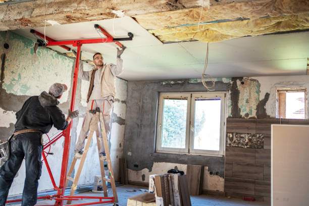 Best Insulation Maintenance and Repair in Palm Valley, FL