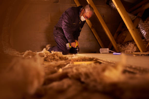 Types of Insulation We Offer in Palm Valley, FL